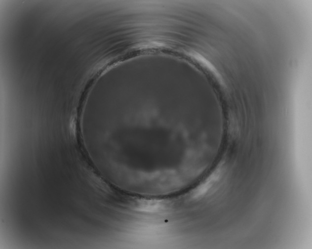 X0000089720921200707051717