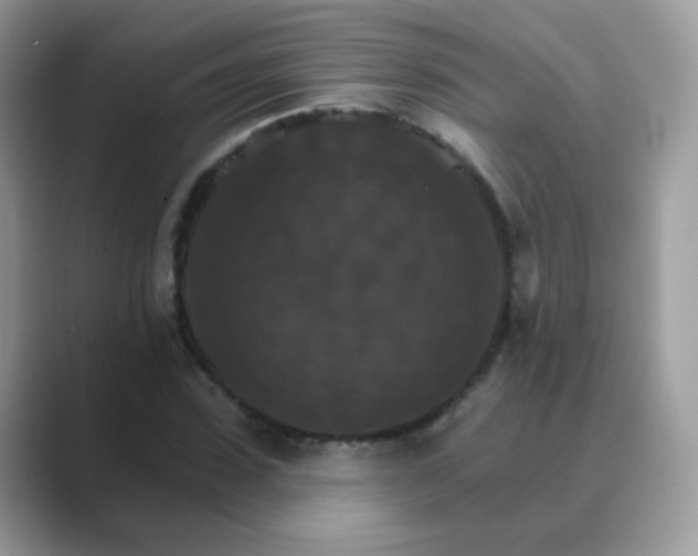 X0000089720923200707051717