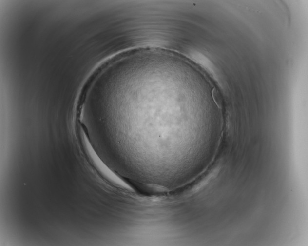 X0000089720924200707051717