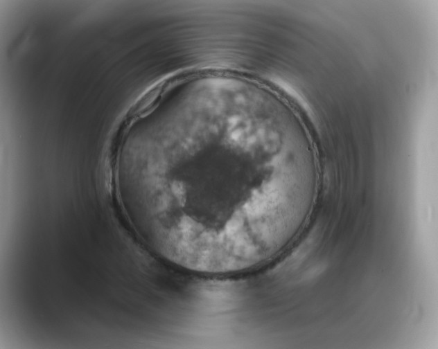 X0000089720925200707051717