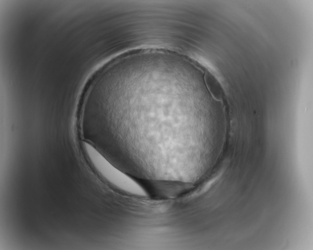 X0000089720928200707051717