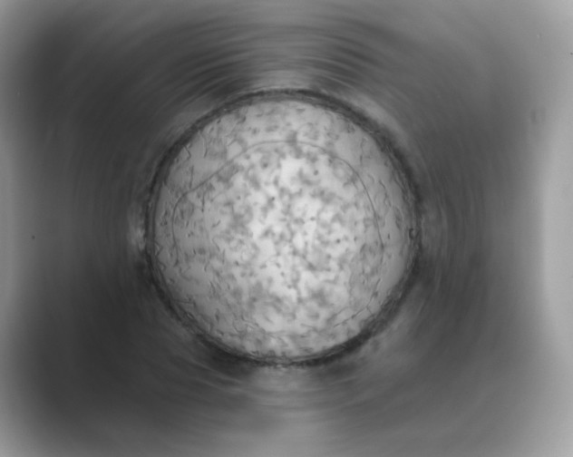 X0000089720929200707051717