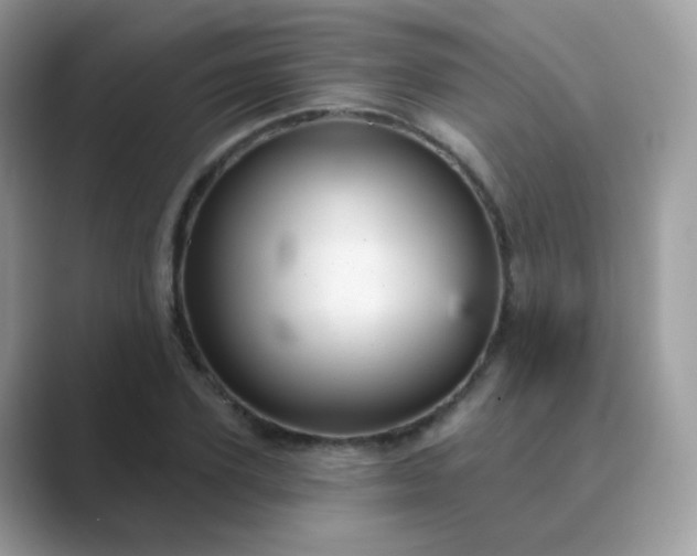 X0000089720931200707051717