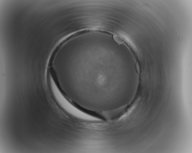 X0000089720932200707051717