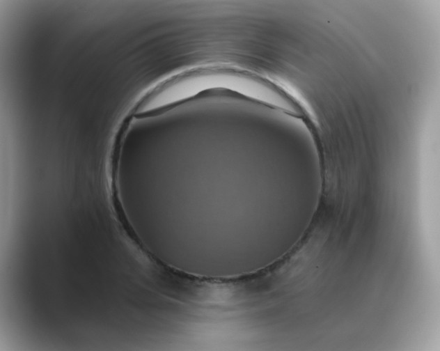 X0000089720935200707051717