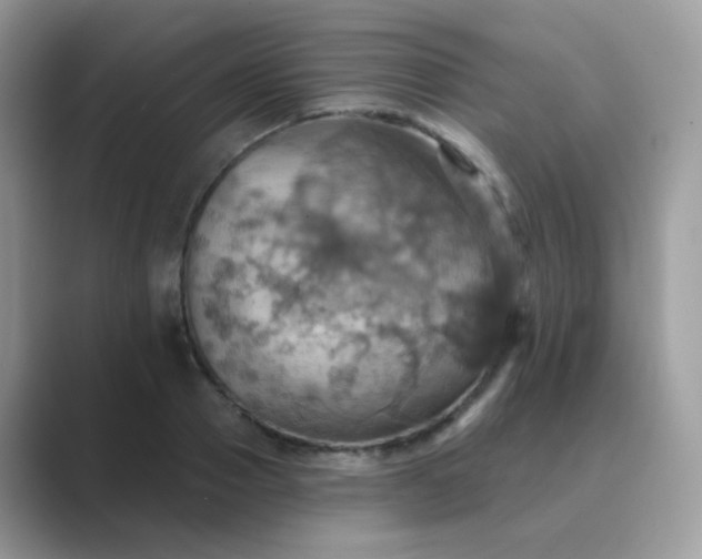 X0000089720937200707051717