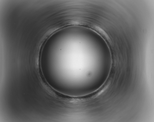 X0000089720938200707051717