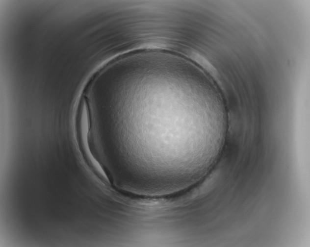 X0000089720939200707051717