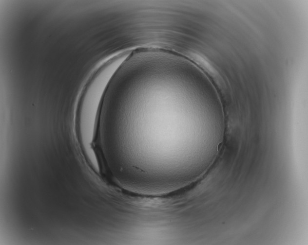 X0000089720940200707051717