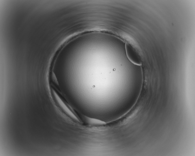 X0000089720942200707051717