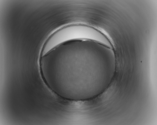 X0000089720943200707051717