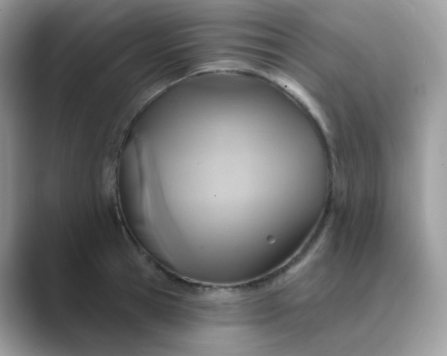 X0000089720945200707051717