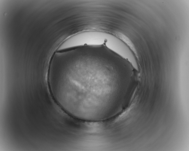 X0000089720946200707051717