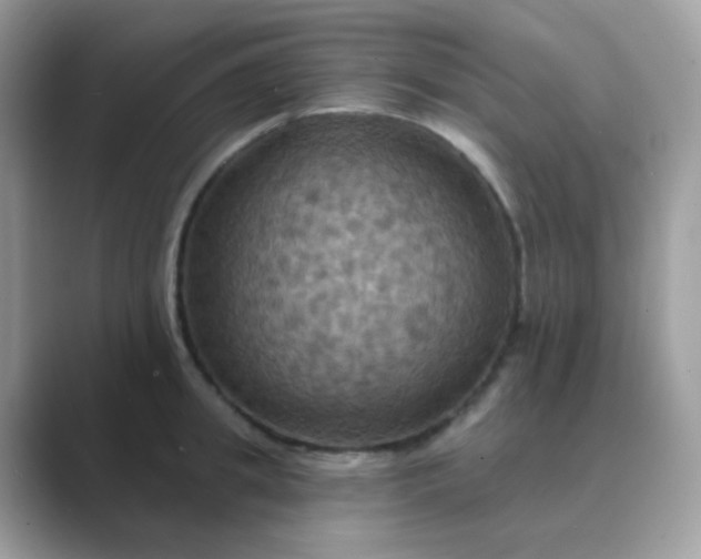 X0000089720949200707051717