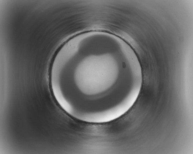 X0000089720950200707051717