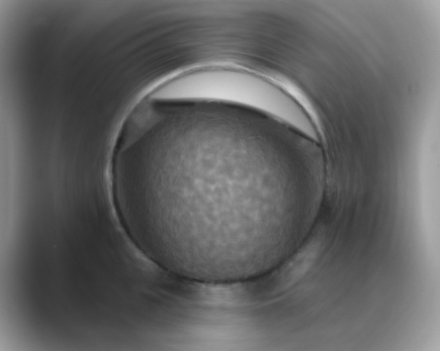 X0000089720951200707051717