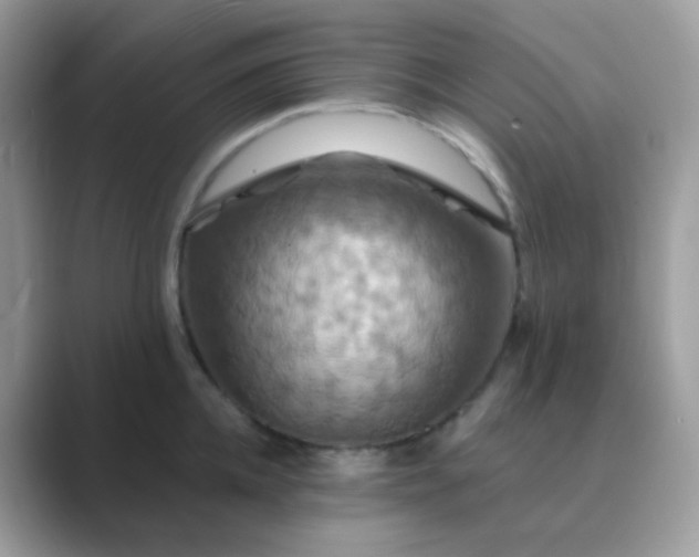 X0000089720952200707051717