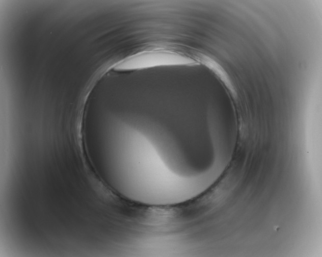X0000089720954200707051717