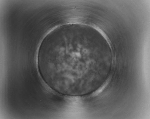 X0000089720957200707051717