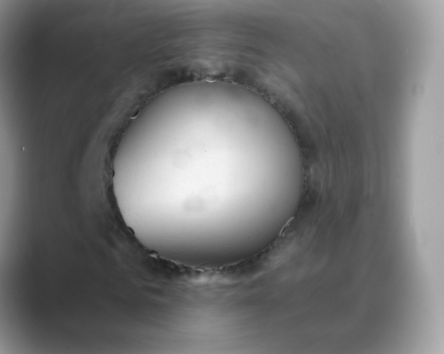 X0000089720961200707051717