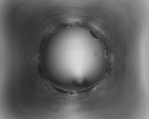 X0000089720965200707051717