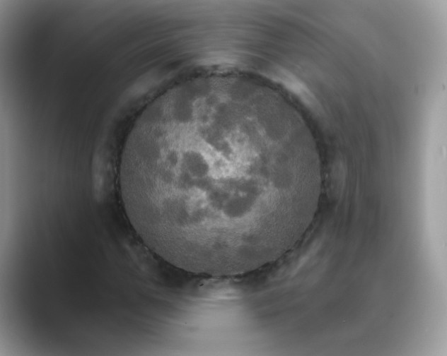 X0000089720967200707051717