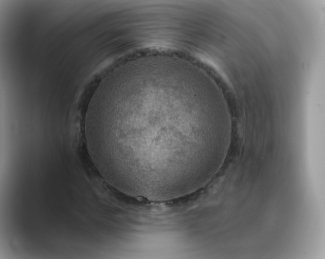 X0000089720968200707051717