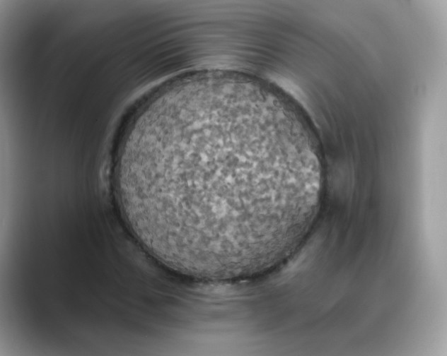 X0000089720971200707051717