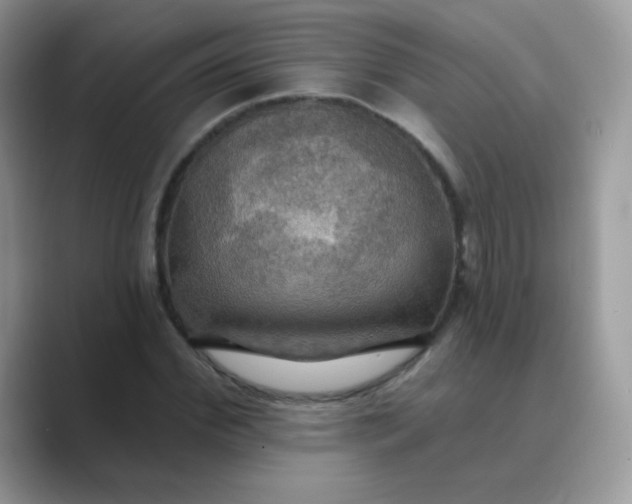 X0000089720972200707051717