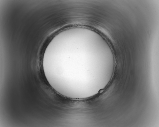 X0000089720974200707051717