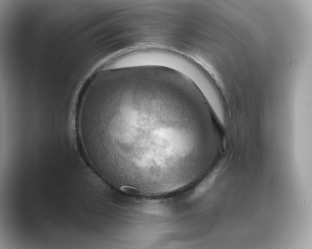 X0000089720976200707051716