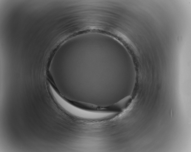 X0000089720977200707051716