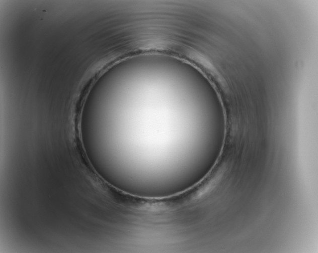 X0000089720978200707051716