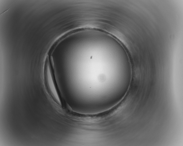 X0000089720980200707051716