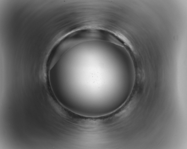 X0000089720981200707051716