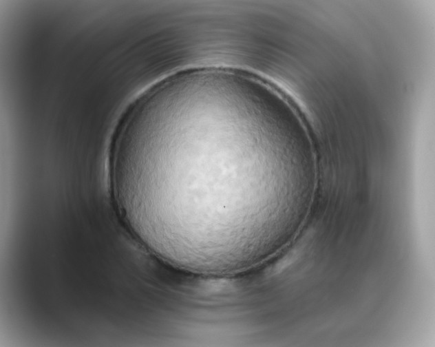 X0000089720982200707051716