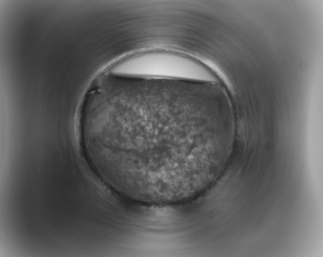 X0000089720983200707051716
