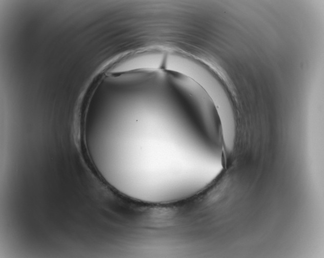 X0000089720984200707051716