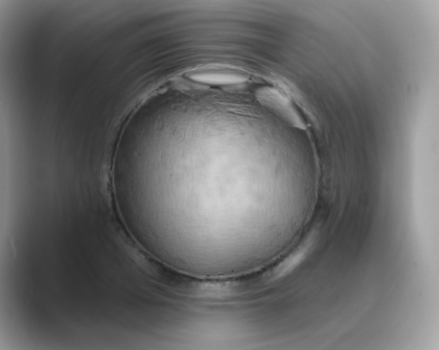 X0000089720985200707051716