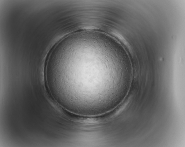 X0000089720986200707051716