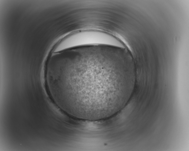 X0000089720987200707051716