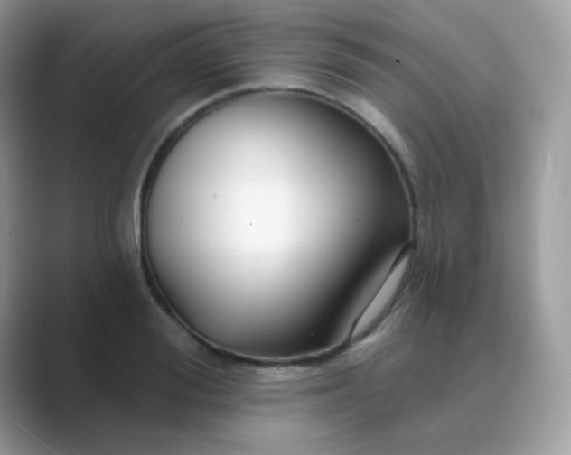 X0000089720988200707051716