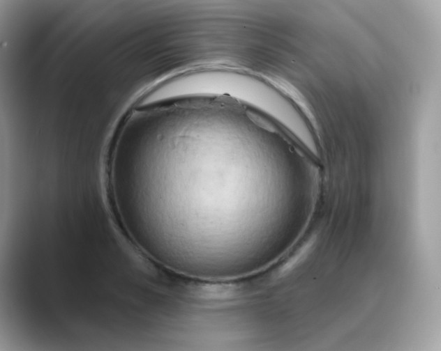 X0000089720989200707051716