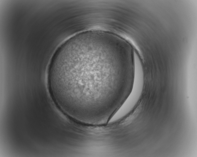 X0000089720991200707051716