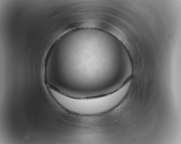 X0000089720992200707051716