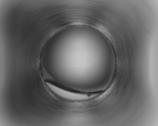 X0000089720993200707051716