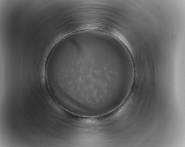 X0000089720994200707051716