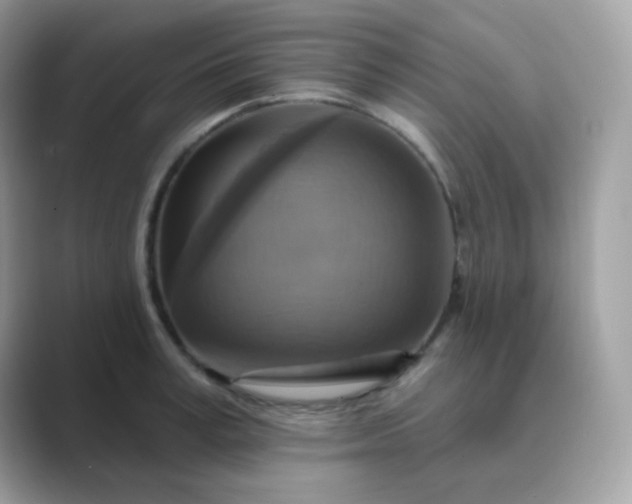 X0000089720995200707051716