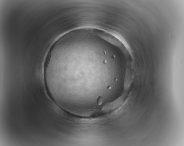 X0000089720996200707051716