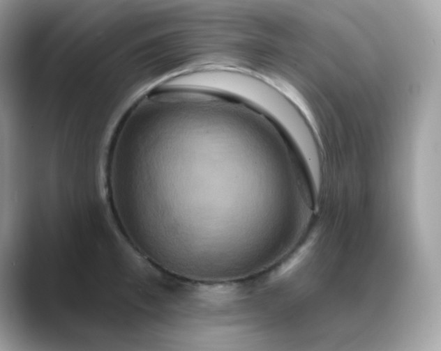 X0000089720997200707051716